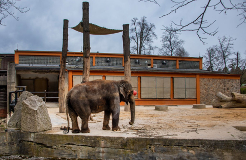 Slon pavilon